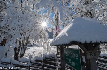 20161109- Erster Schnee 2016_-94