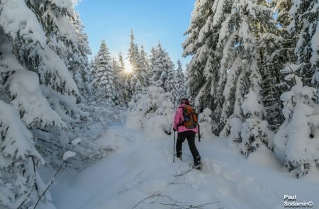 2018-12-16_ Lahnggangkogel (13 von 77)