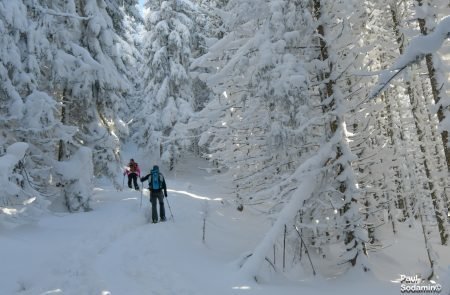 2018-12-16_ Lahnggangkogel (18 von 77)