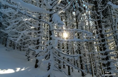 2018-12-16_ Lahnggangkogel (21 von 77)