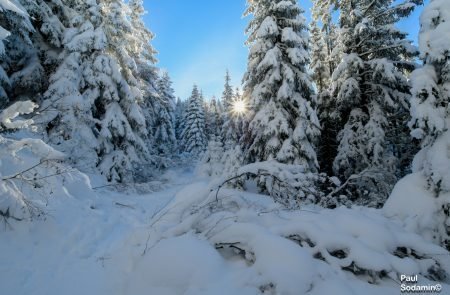 2018-12-16_ Lahnggangkogel (8 von 77)