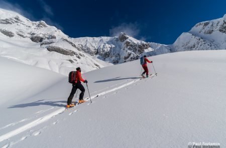 Festkogel