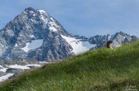 Großglockner