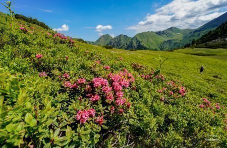 2020-06-28_Messerschneid mit GÜ (124 von 129)