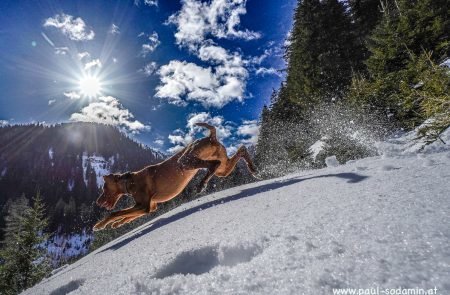 Donnersbacher Alps © Sodamin Paul -15