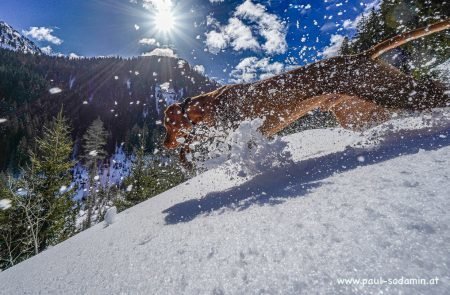 2023-03-04 Donnersbacher Alps © Sodamin Paul -19