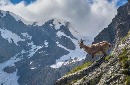 2023-06 -23 _Mont Blanc Aufstieg Gonella Sony -1,2 MB-137 Kopie