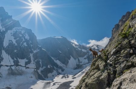 2023-06 -23 _Mont Blanc Aufstieg Gonella Sony -1,2 MB-96 Kopie