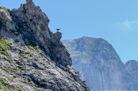 2025 06 18 klettern am admonter kailbling sodamin paul 2