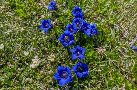 2025 06 18 klettern am admonter kailbling sodamin paul 9