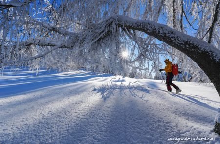 Winterzauber, unterwegs mit pulver paul