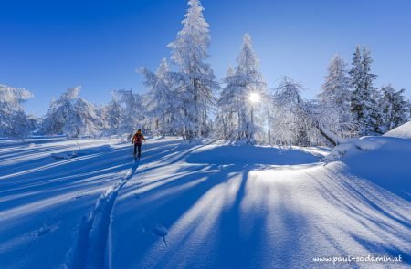Winterwunderland,unterwegs mit pulver paul