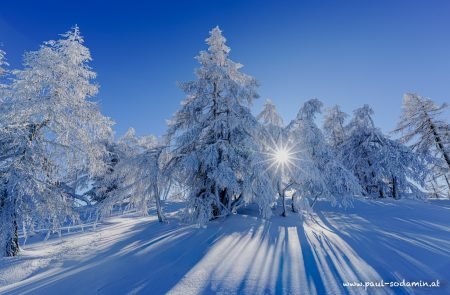 Winterzauber,  unterwegs mit pulver paul 5