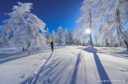 Winterwunderland,unterwegs mit pulver paul