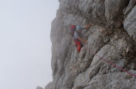 31.08.2016_Steinerweg ©sodamin (98 von 158) (98 von 158) - Arbeitskopie 2