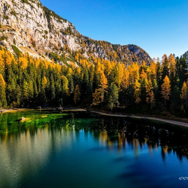 Ahornsee – Goldener Herbst