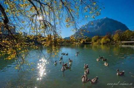 Augenblicke Teich Trautenfels ©Sodamin Paul 10