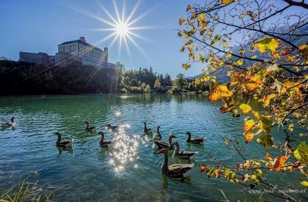 Augenblicke Teich Trautenfels ©Sodamin Paul 8