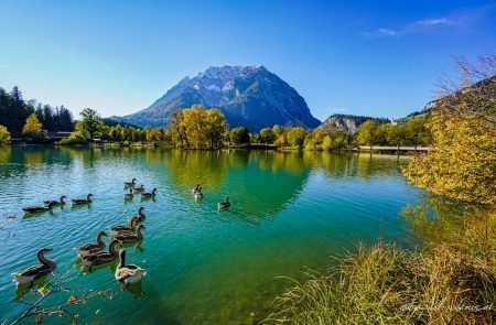 Augenblicke Teich Trautenfels ©Sodamin Paul 9