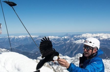 Dachstein Pickelhart (6 von 22)