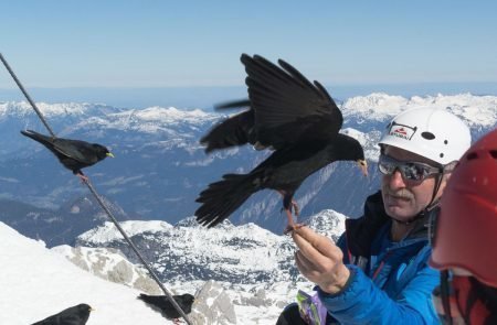 Dachstein Pickelhart (8 von 22)