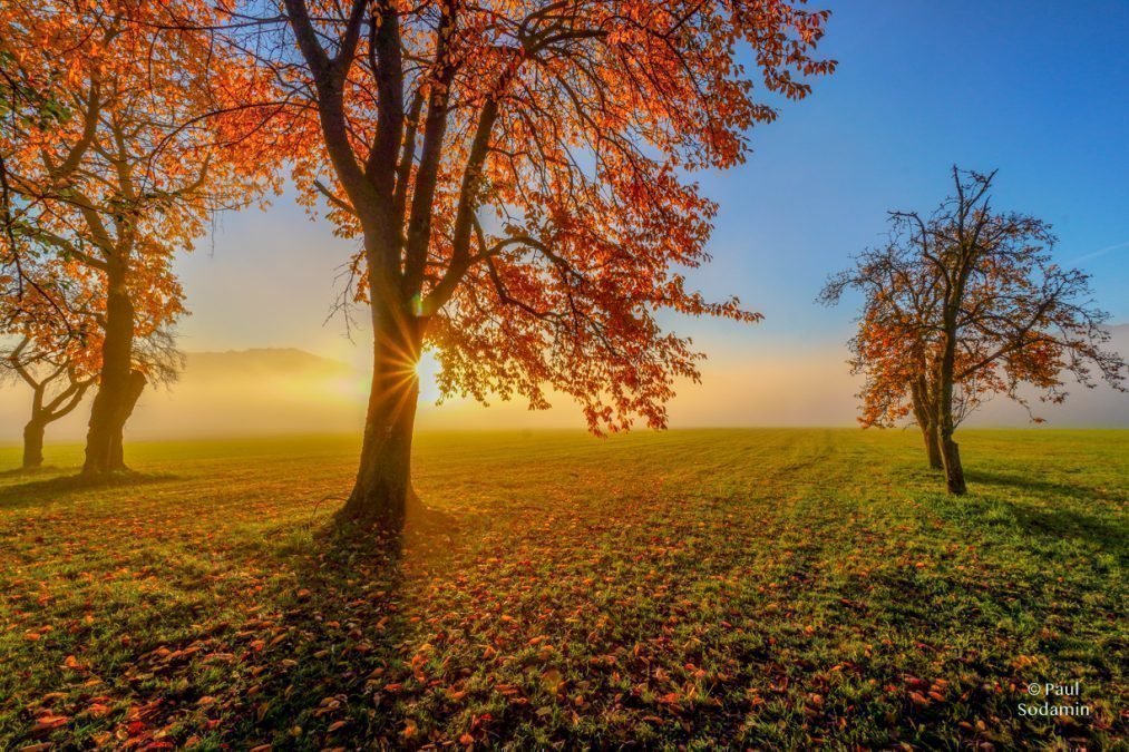 Der Goldene Herbst in einer unglaublichen Farbpracht