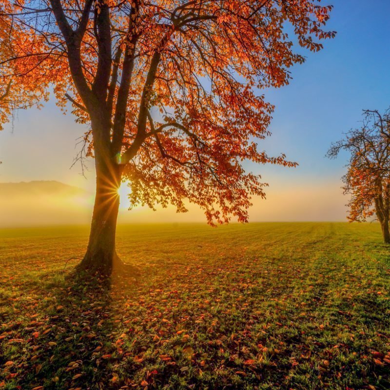 Der Goldene Herbst in einer unglaublichen Farbpracht