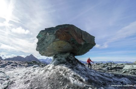 Der größte Steinpilz Österreichs.. © Paul Sodamin 3