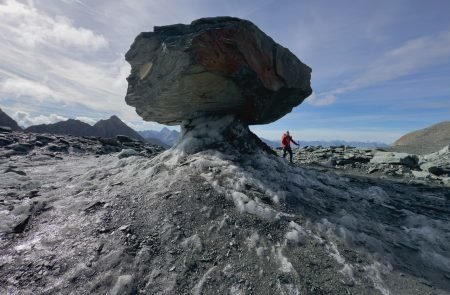 Der größte Steinpilz Österreichs.. © Paul Sodamin 5
