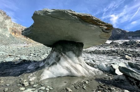Der größte Steinpilz Österreichs.. © Paul Sodamin 6