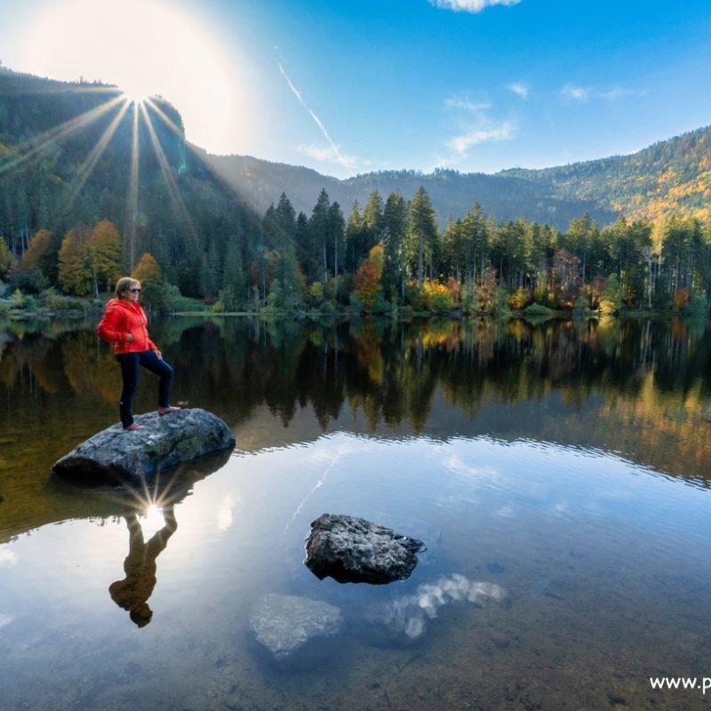 Die Natur im Herbst erleben