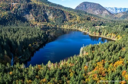 Die Natur im Herbst erleben