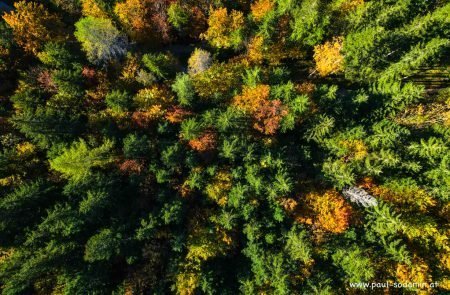 Die Natur im Herbst erleben 3