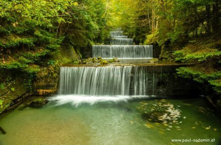 Die Natur im Herbst erleben