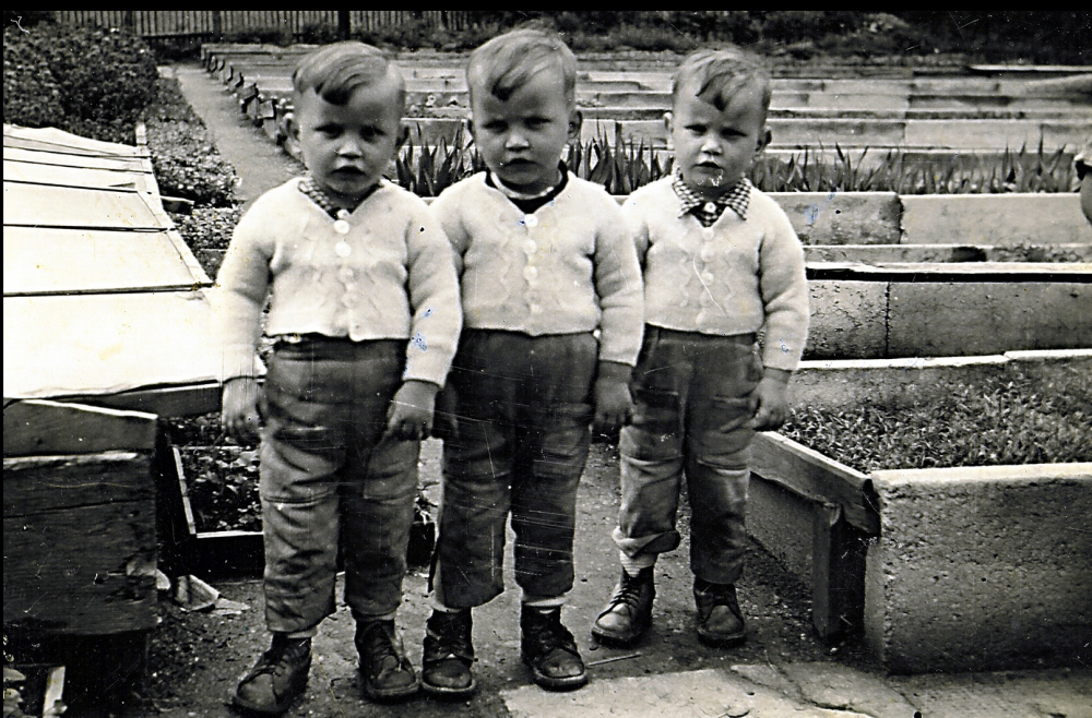 drillinge sodamins drillinge sodamins