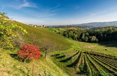 Es herbstelt in der Steiermark ©Sodamin 1