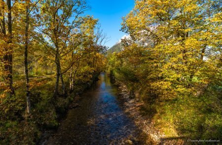 Es herbstelt in der Steiermark ©Sodamin 6