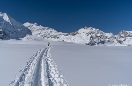 Gemsfreiheit Berninna