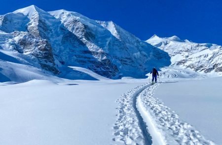 Gemsfreiheit -Bernina- Diavolezza 13