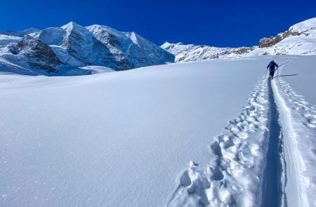 Gemsfreiheit -Bernina- Diavolezza 14