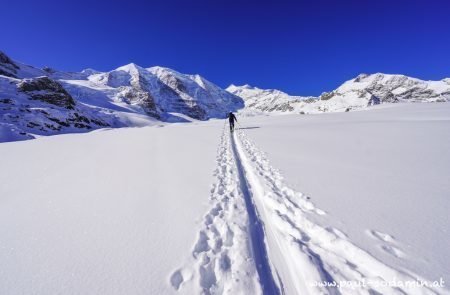 Gemsfreiheit -Bernina- Diavolezza 3