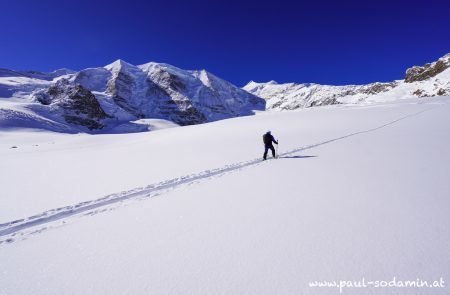 Gemsfreiheit -Bernina- Diavolezza 4