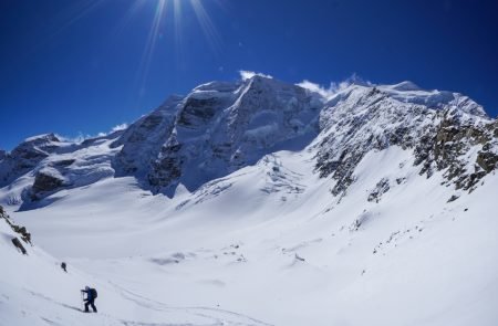 Gemsfreiheit -Bernina- Diavolezza 5