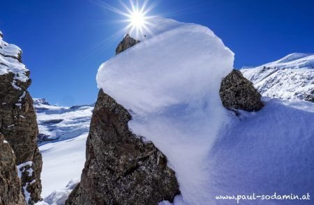 Gemsfreiheit -Bernina- Diavolezza 6