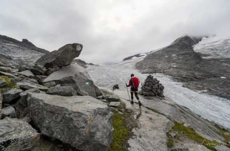 Großnenediger 3666m 16