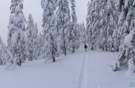 Gscheideggkogel Puiva -Jauk u.Kinder 11