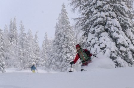 Gscheideggkogel Puiva -Jauk u.Kinder 18