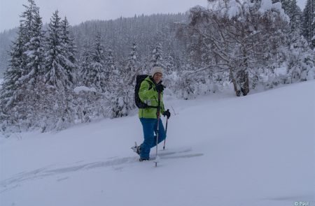 Gscheideggkogel Puiva -Jauk u.Kinder 3