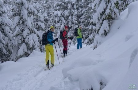 Gscheideggkogel Puiva -Jauk u.Kinder 4