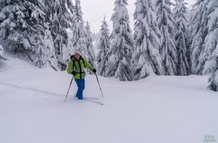 Gscheideggkogel Puiva -Jauk u.Kinder 6